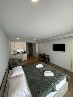 Gudauri Apartment